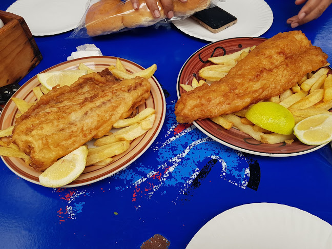 Snoekies,Frozen Fish Market & Fish Bait - Cape Town