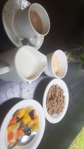 Comentarii opinii despre Canefields Country House