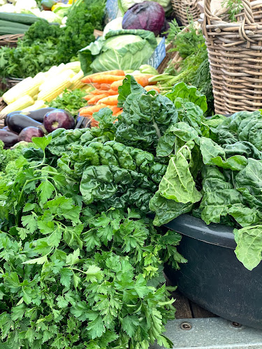 Comentarii opinii despre Fire and Smoke