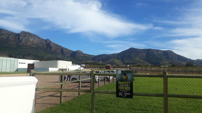 Comentarii opinii despre Station Liquors