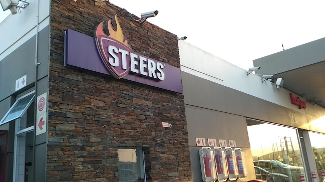 Steers