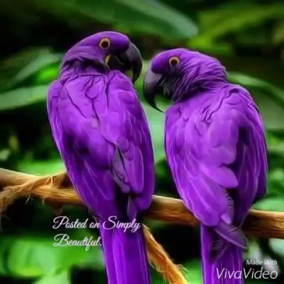 121 Beach Rd, Mouille Point, Cape Town, 8005