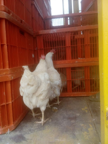 Comentarii opinii despre Farm to Table Cornish Chickens