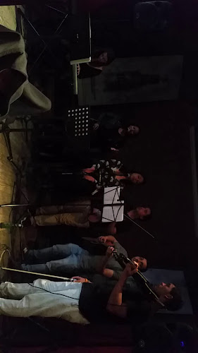 Rat & Parrot Grahamstown