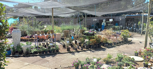 Volla Cafe Coffee Roastery