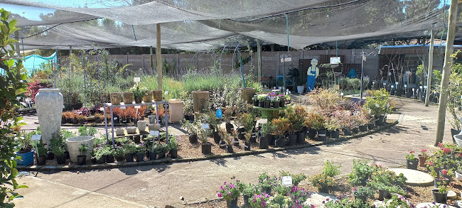 Volla Cafe Coffee Roastery