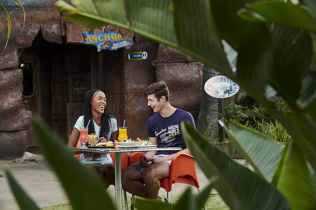 Opinii despre The Anchor în Durban - Hospitality and gastronomy