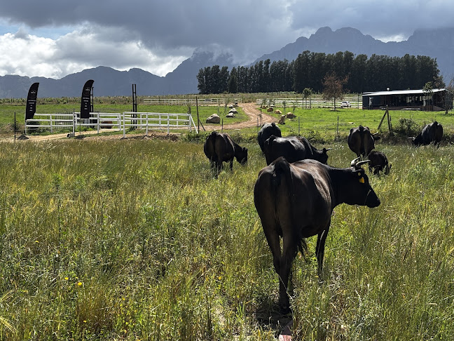 Comentarii opinii despre The Wagyu Experience