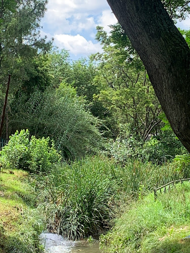 Comentarii opinii despre Huckleberry's Restaurant