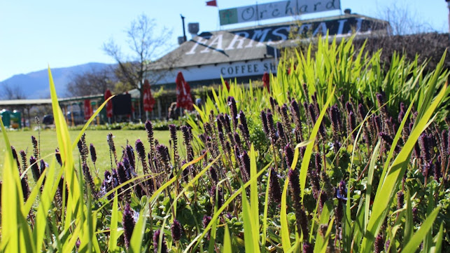 The Orchard Farm Stall - Grabouw