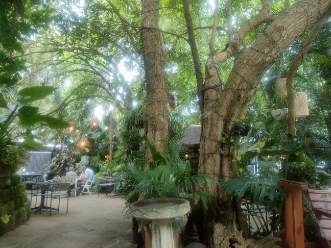 Opinii despre Neighbourhood Cafe & bar în Durban North - Hospitality and gastronomy