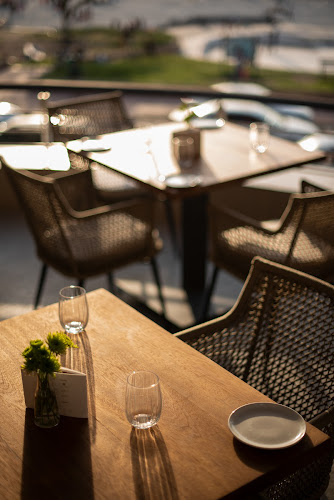 Comentarii opinii despre Surfshack by Kove Collection