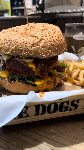 The Dog's Bollocks at YARD - Cape Town