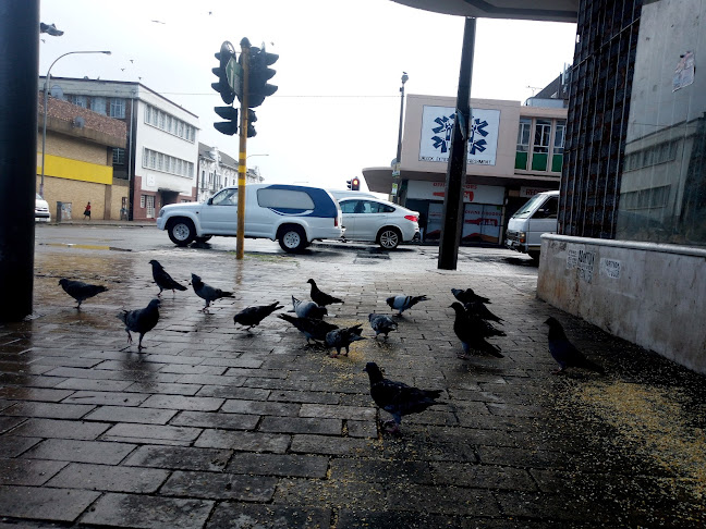 DIVINE LIQUORS - Hospitality and gastronomy