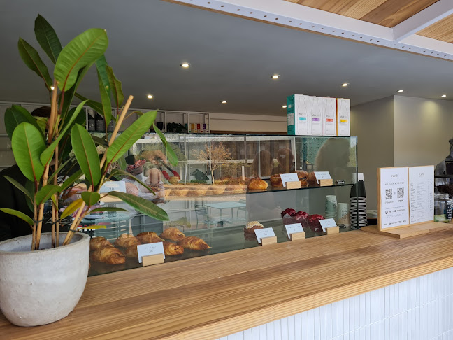 Platō Coffee - Alpine Attitude - Pretoria