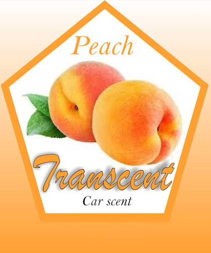 Transcent - Hospitality and gastronomy