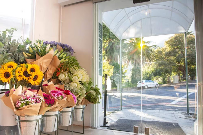 Comentarii opinii despre Ou Meul Oranjezicht