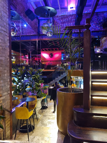 Comentarii opinii despre Zsa Zsa Cape Town