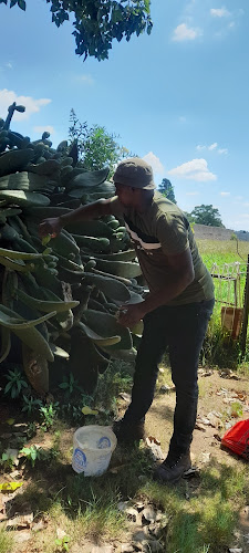 9-1, Aster Rd, Primrose, Germiston, 1401