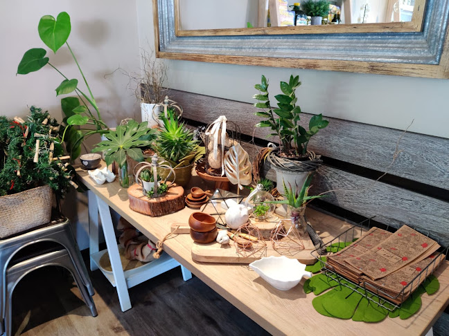 Opinii despre Cafe Al Fresco în Bethlehem - Hospitality and gastronomy