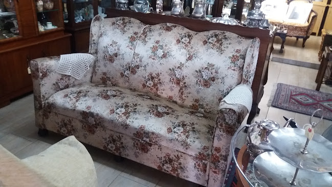 Picnique Bistro - Hospitality and gastronomy