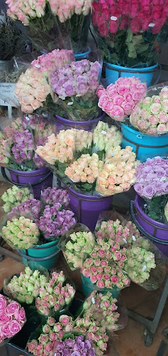 Comentarii opinii despre Colour Country Flowermarket