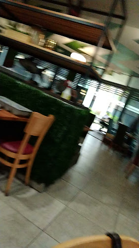 Calisto's Suncoast - Hospitality and gastronomy