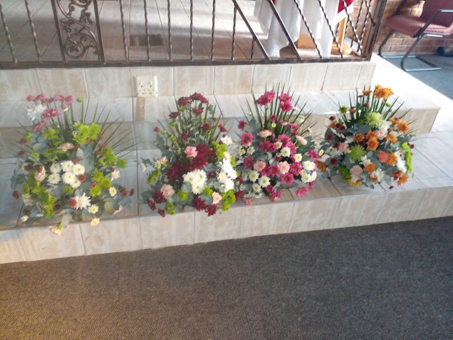 Neo flower Expect - Hospitality and gastronomy