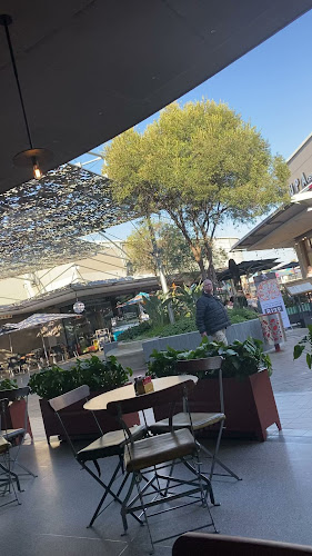 TriBeCa Standard - Hospitality and gastronomy