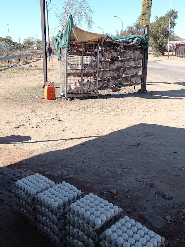 TSHIKWANO POULTRY & PROJECTS