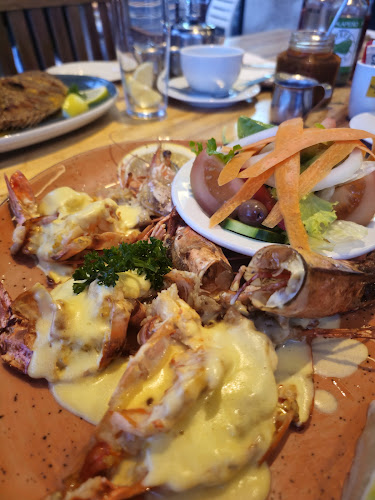 Calisto's Suncoast - Hospitality and gastronomy