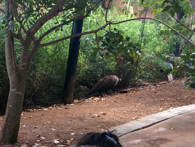 Polokwane Freash Produced Market