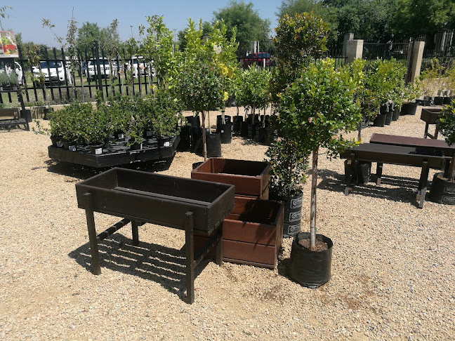 Opinii despre The Herb Cafe în Midrand - Hospitality and gastronomy