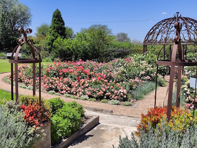 The Herb Cafe - Hospitality and gastronomy