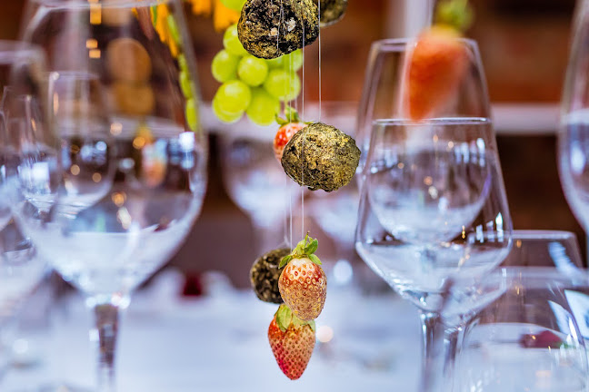 Opinii despre BlackOlive House (Pty) Ltd în Johannesburg - Hospitality and gastronomy