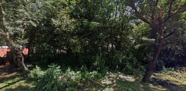 Country Lane Restaurant