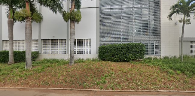 Billie Boys Virginia