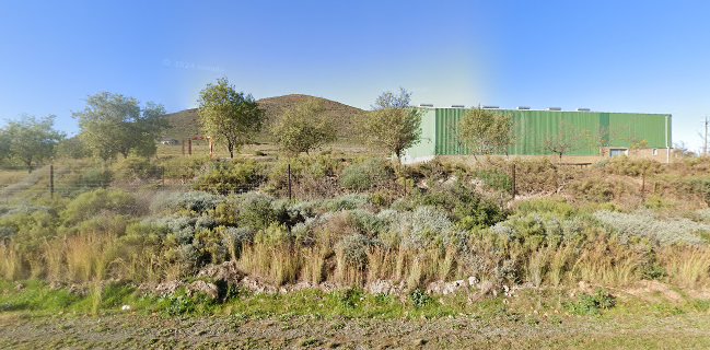 Pure Boland Farmer's Market - Groenstoor