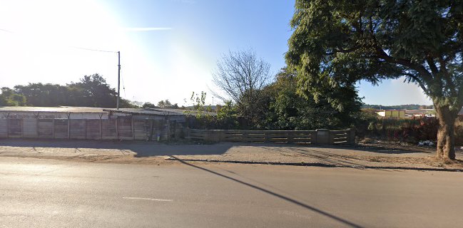 Vitamed polar ice-cream