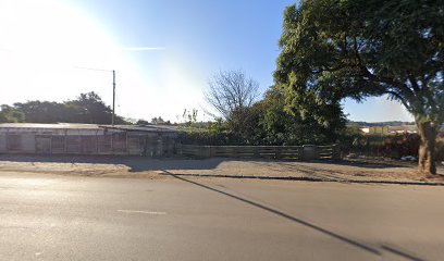 Vitamed polar ice-cream