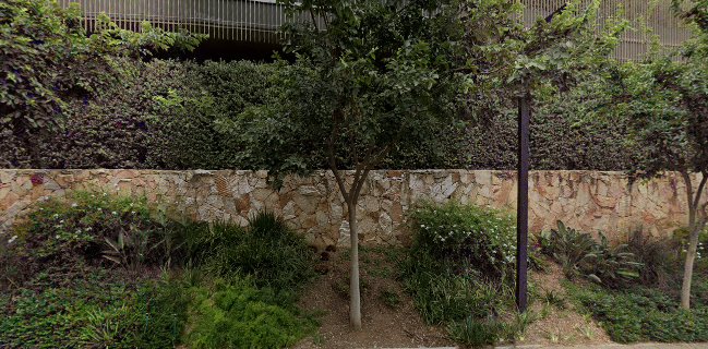 Nova bistro restaurant