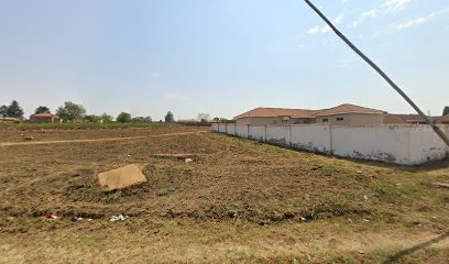 Teddy Bear chilling spot