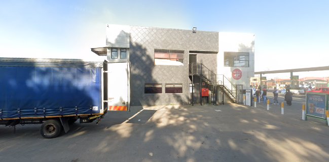 Wild Bean Cafe - Hospitality and gastronomy