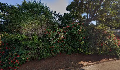 Ama Levels African Food