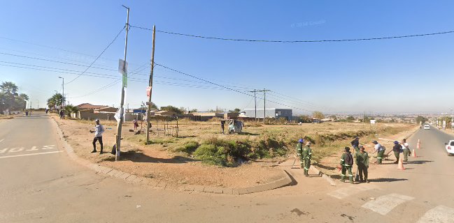 Pine tree frist food