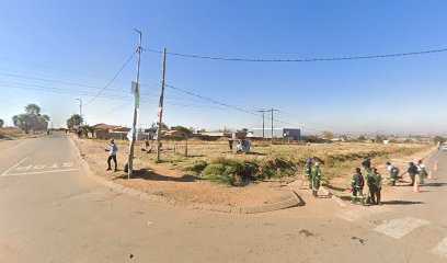 Pine tree frist food