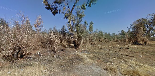 N12 Food Stop - Hospitality and gastronomy