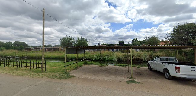 Comentarii opinii despre Lapeng