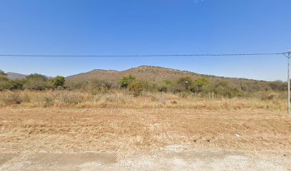 Nelly fish and chips